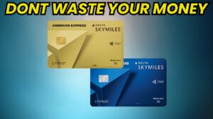 Delta SkyMiles Gold vs Blue – Which Card is Better? - Luggage Guru